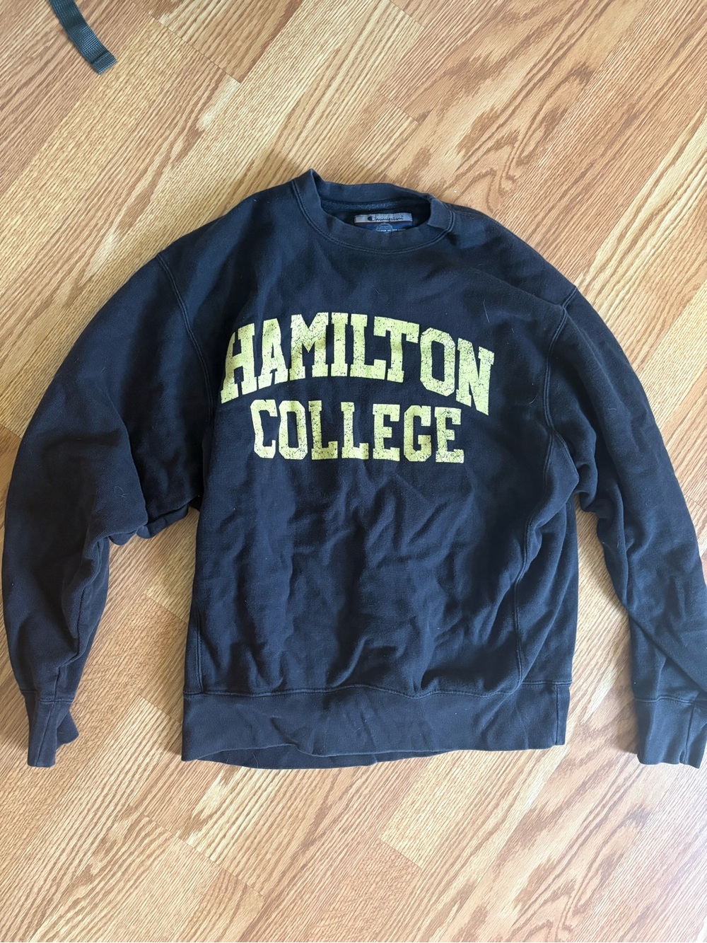 Hamilton College Champion Black Crewneck Sweatshirt
